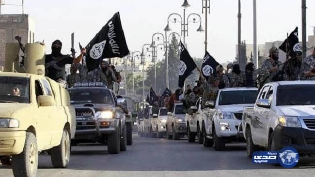 «العربية» تصفع «الجزيرة» مجددا وتحصد الأعلى مشاهدة