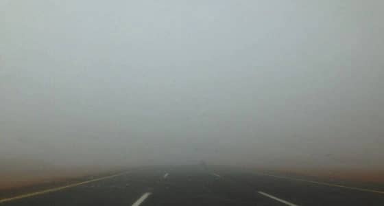 الأرصاد تحذر من ضباب يحجب الرؤية على القصيم