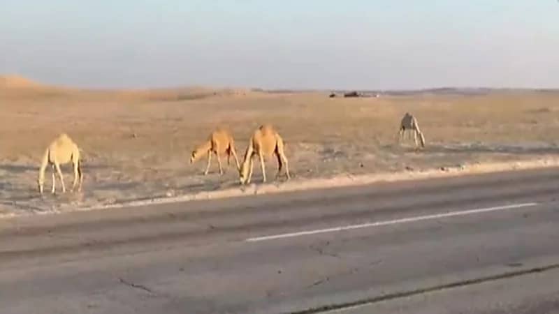 شاهد.. مشروع متعثر منذ 7 سنوات في النعيرية وسط معاناة من الأهالي 