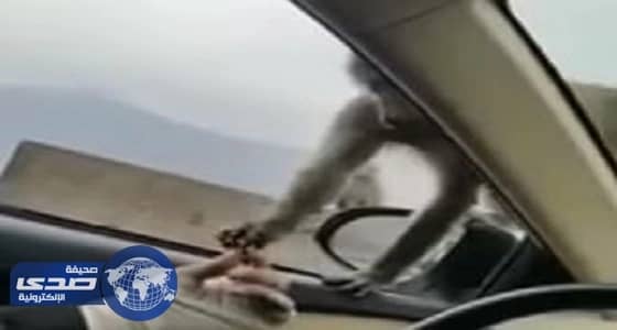 بالفيديو .. القبض علي لصين في متجر بالرياض