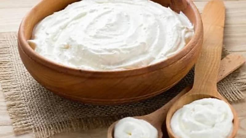 فوائد الزبادي الصحية