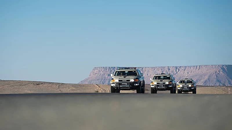 القبض على مواطن ومقيم لترويجهما القات والحشيش