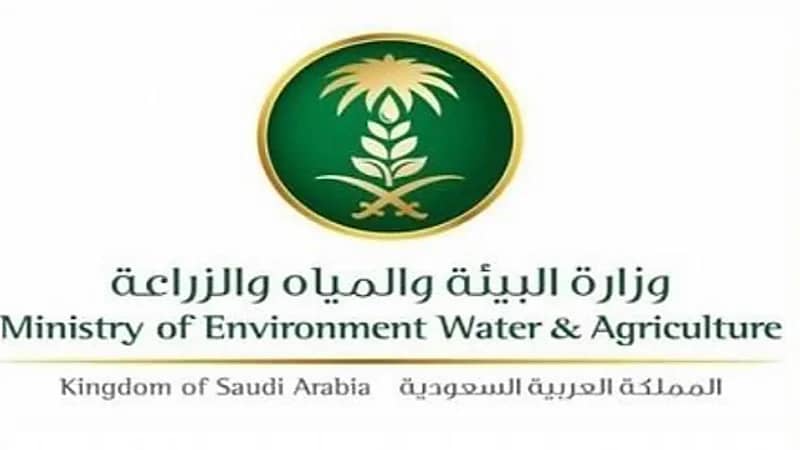 "وزارة الزراعة" تحذر من استخدام القمح في أعلاف الماشية