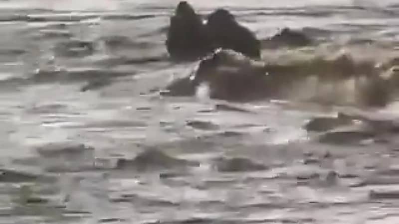 إبل عالقة في سيول محافظة ⁧‫الجموم‬⁩ ..فيديو