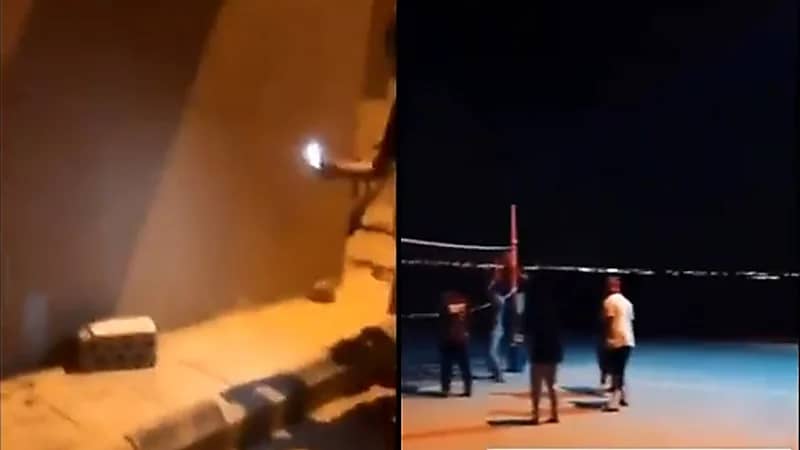 بالفيديو.. ثعبان يهاجم شبان أثناء لعبهم الكرة الطائرة