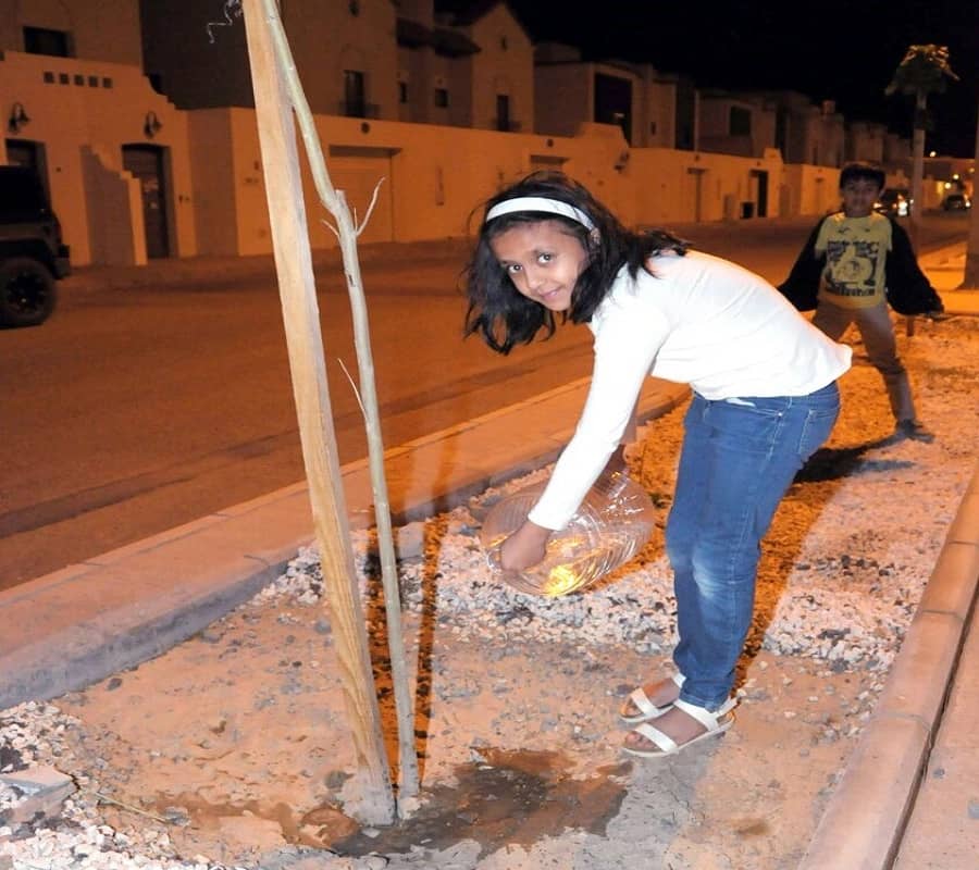 وفق رؤية 2030 للاهتمام بالبيئة عائلات تسمي أشجار حيهم بألقاب السكان