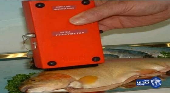 60 جهازًا متطورًا للكشف على الأطعمة بتبوك