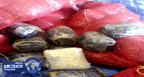 إحباط تهريب 300 ألف حبة كبتاجون في " أكياس بصل "