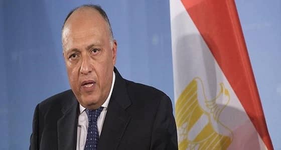 الخارجية المصرية للوفد الأمريكي: لا بديل عن تنفيذ قطر للمطالب الـ 13