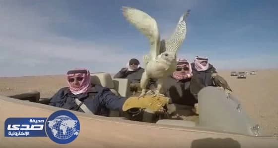 بالفيديو.. " مقناص " ولي العهد لعام 1438هـ في الجزائر