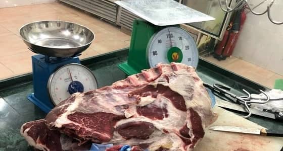 بالصور.. جولات رقابية صحية على المطاعم بأحد رفيدة