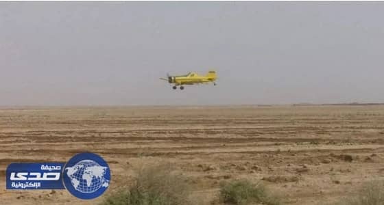 الرش الجوي الثاني في المدينة ينتهي السبت القادم