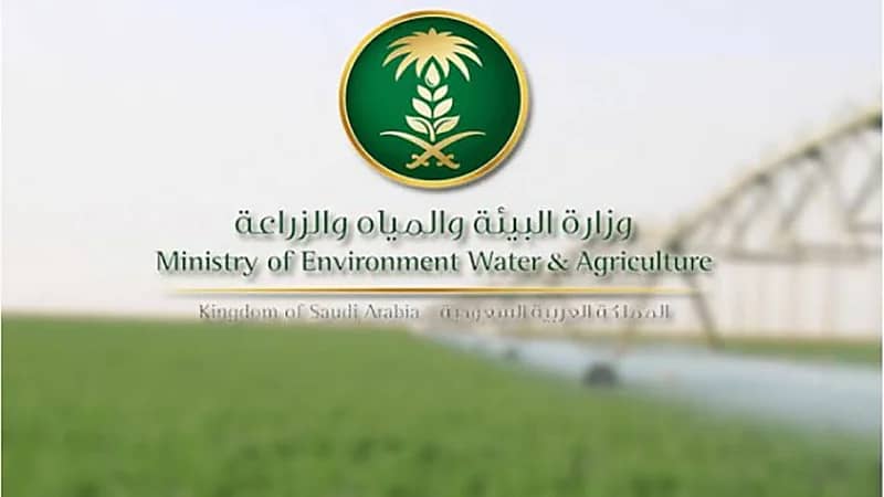 «الزراعة» توضح حقيقة وضع لائحة جديدة لأسواق الماشية