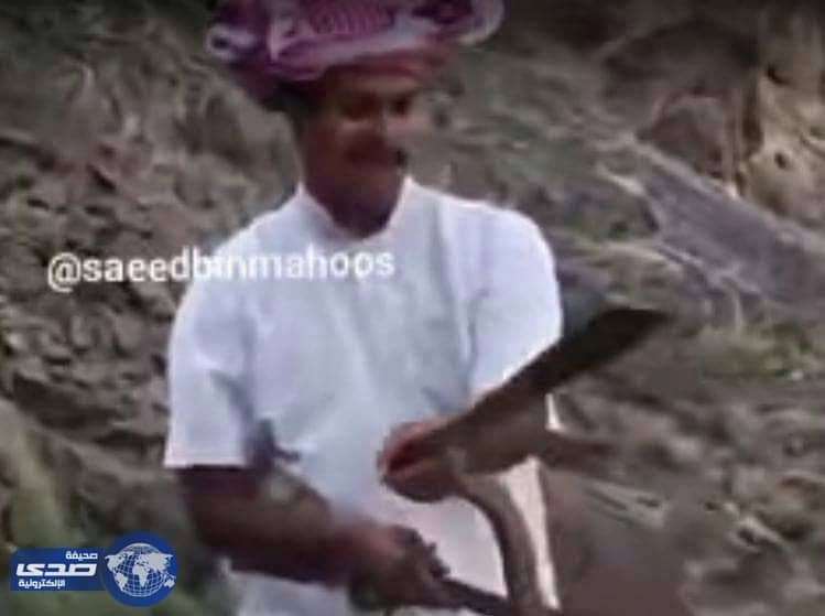 بالفيديو.. شاب يتحدي الخطر و يصطاد كوبرا مخيفة