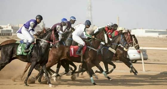 فروسية جدة تنظم سباقها الـ24
