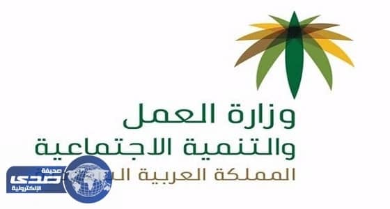 80 ألف وظيفة للنساء في عدة قطاعات قريباً