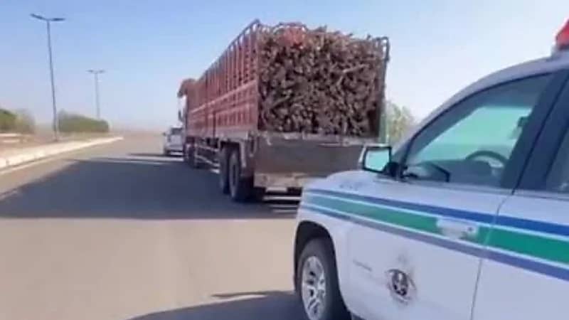 الإطاحة بمخالف لنظام البيئة بالقصيم.. فيديو