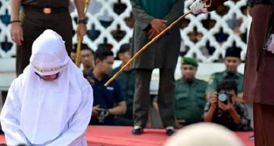 جلد عروسين لتوددهما لبعضهما قبل الزواج