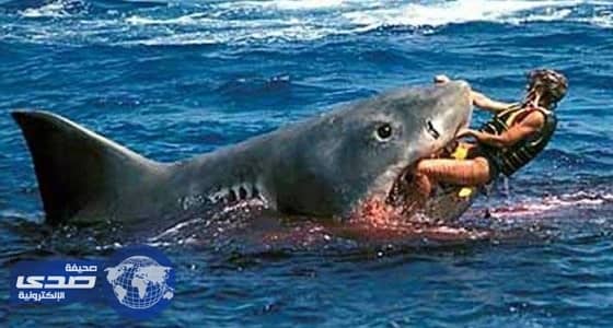بالفيديو.. شاب ينقذ سمكة قرش من الموت