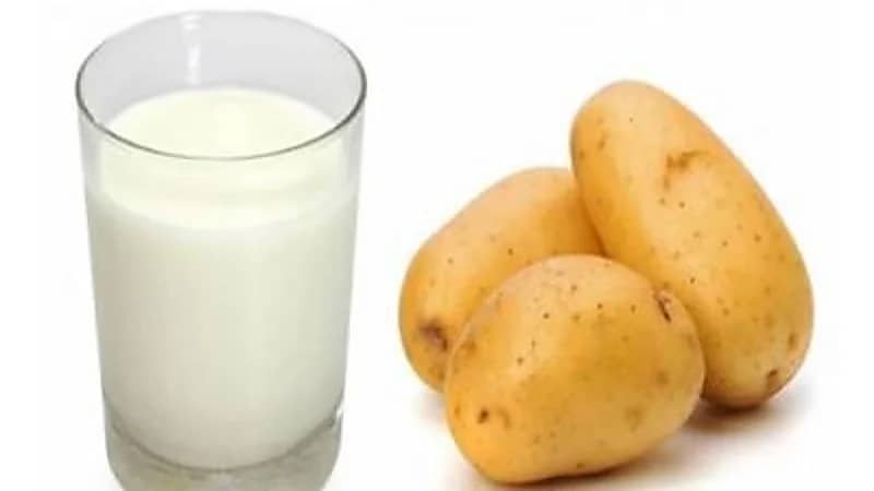 لبن البطاطس تريند العام المقبل