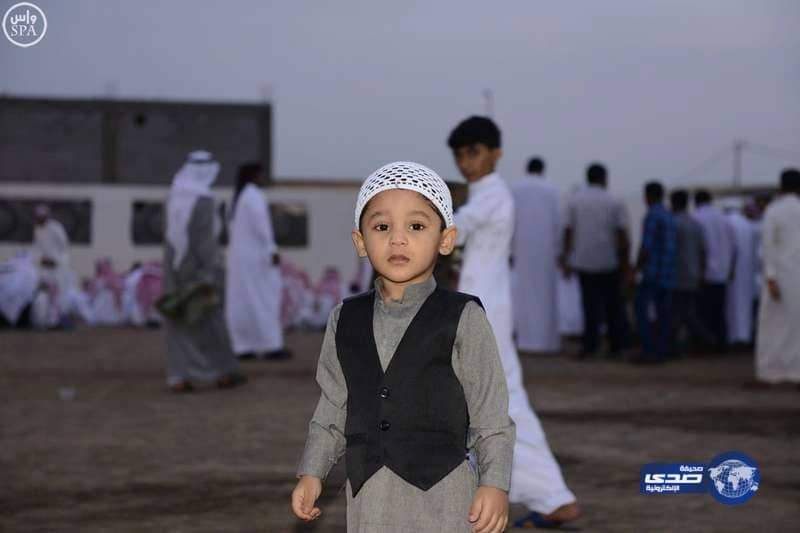 أم تطارد نمر خطف طفلها الصغير