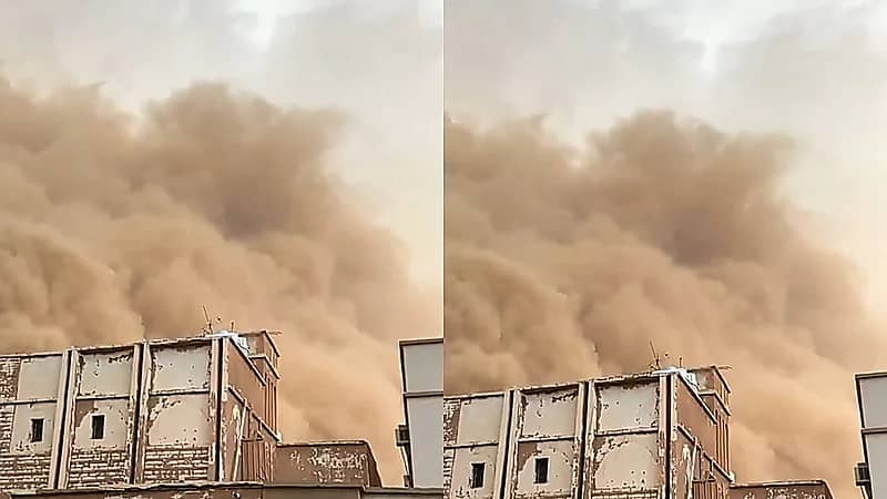 الحصيني: موسم المراويح دون التوقعات وقلة الأمطار أبرز الأسباب.. فيديو