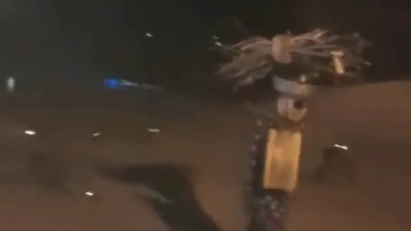 بالفيديو.. امرأة تسير بين حشود من الضباع بكل ثقة وبدون خوف