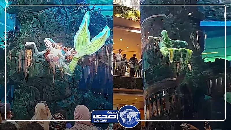 حقيقة عروس البحر التي خطفت أنظار المصريين بالإسكندرية .. فيديو