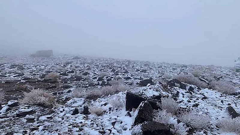 المسند: ديسمبر ويناير وفبراير في طريف أبرد من لوس أنجلوس