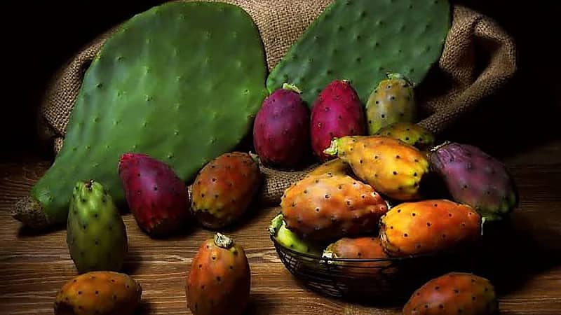 استشارية توضح فوائد وأضرار التين الشوكي حال الإفراط في تناوله