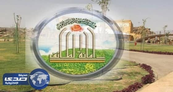 أمانة الطائف تطرح 36 فرصة استثمارية