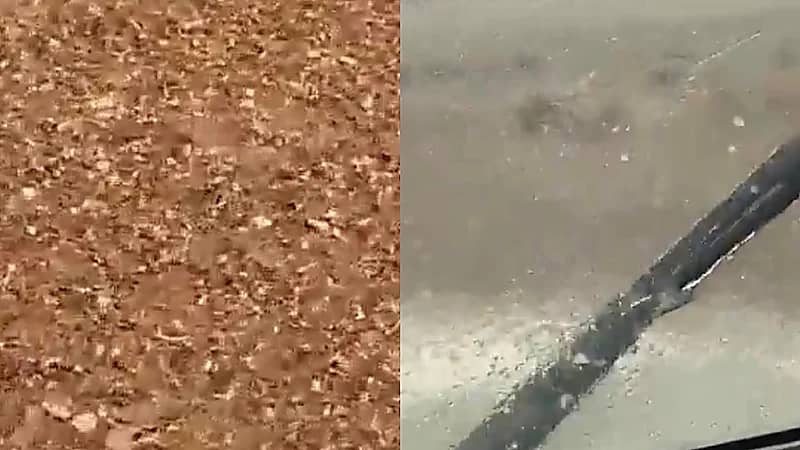 بالفيديو.. بردية وأمطار كثيفة في دومة الجندل