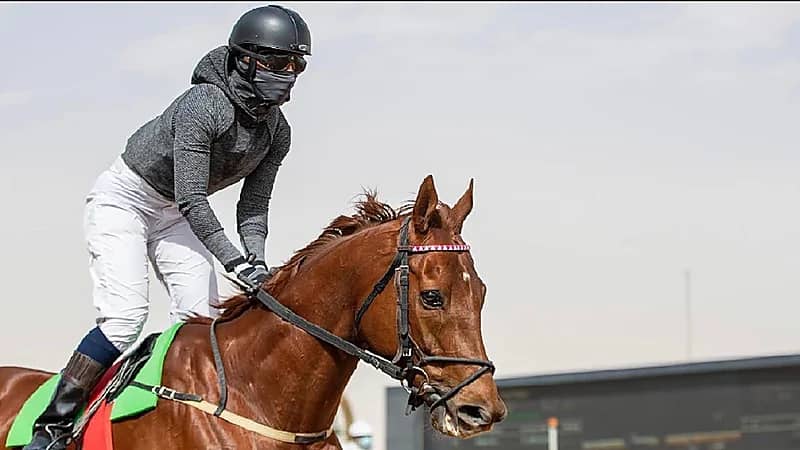 إصابة الفارسة مضاوي القحطاني بكسور في فقرات الرقبة