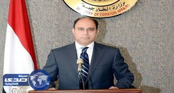 مصر تعلق على اتهامها بشراء شحنة أسلحة ثقيلة من كوريا الشمالية