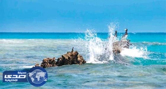 " غرفة جازان ": مشروع البحر الأحمر قفزة نوعية في الاستثمار