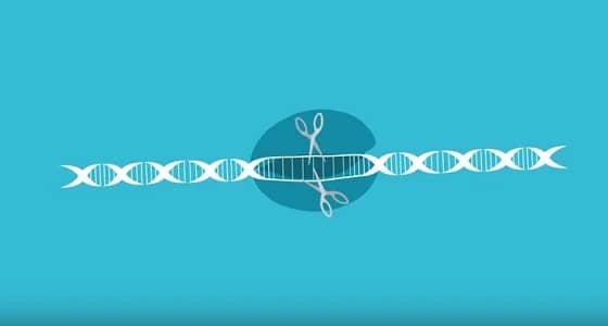 بالفيديو.. عالم كيميائي يتحول إلى رجل خارق بتغيير الجينات