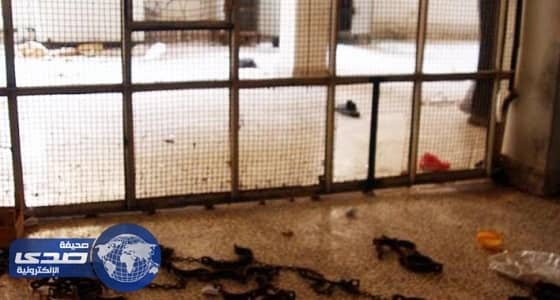 ارتفاع عدد الفلسطينيين في سجون النظام السوري إلى 1631 معتقلا