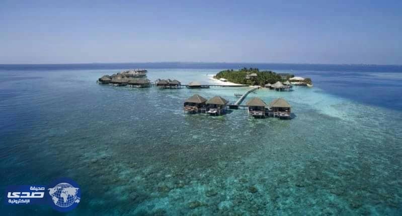 انفلونزا الخنازير تودي بحياة اثنين في جزر المالديف