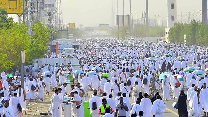 الصحة: لا حالات وبائية بين الحجاج وتشغيل 91 مركزًا صحيًا في المشاعر .. فيديو