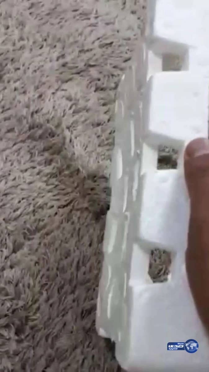 بالفيديو.. مواطن يحذر من عملية نصب في أسواق بيع التمور بـ"وادي الدواسر"