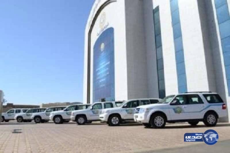 استعداد لليوم الوطنى .. هيئة الرياض تكثف من تواجدها الميداني خلال الإجازة