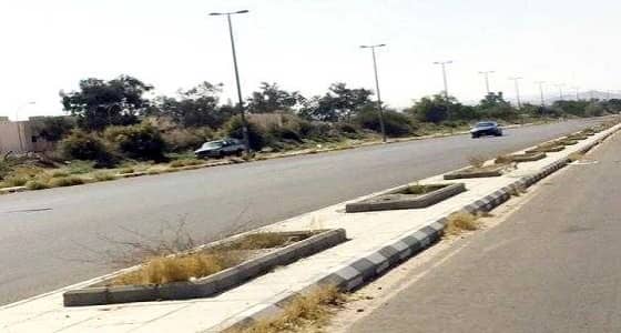 أمين الطائف يدشن حملة " اغرسها " لزراعة 400 شتلة