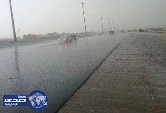 تعليم الشرقية يعلق الدراسة غدا