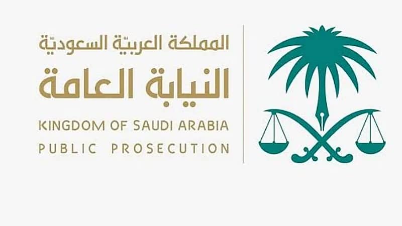 نظام حماية الطفل يحظر إنتاج أو نشر أي مصنف يخاطب غريزة الطفل