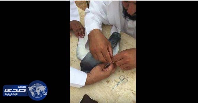 بالفيديو.. شيخ يفك سحر مربوط على أرجل حمامة في المذنب