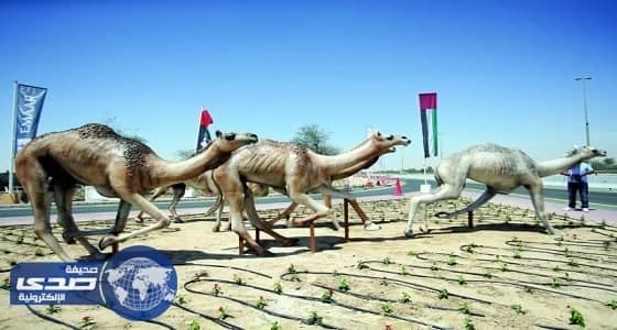 ⁠⁠⁠⁠⁠محافظة البدع تنظم أنشطة متنوعة في ثالث أيام عيد الأضحي