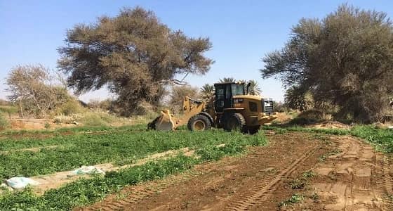 بالصور.. جرف محاصيل 4 مزارع سقيت بالمجاري في الطائف