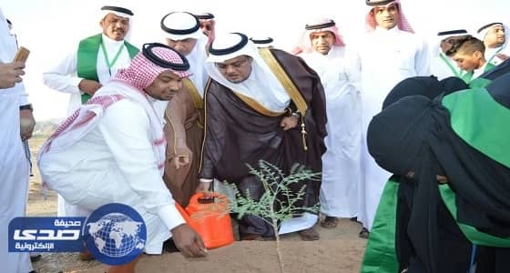 بالصور.. وزارة البيئة والمياه والزراعة تنظم حملة للتشجير