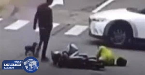 بالفيديو.. كلب يطارد سيارة صدمت صاحبته على الطريق لانقاذها