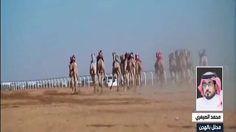 الصيعري: كأس العلا للهجن هو الأغلى عالمياً من حيث قيمة الجوائز (فيديو)